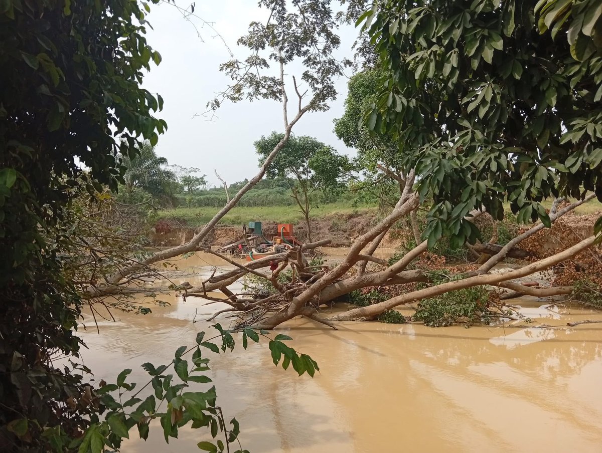 InsideOsogbo's tweet photo. ALARM OVER ILLEGAL GOLD MINING AT ABERENSISE AKINLADE ESTATE, ÒṢOGBO 

Residents of Aberensise Akinlade Estate, located about 6.6km from the Ọ̀sun River, along Iléṣà Garage, Òṣogbo, have raised serious concerns over the increasing activities of suspected illegal gold miners who have reportedly taken over large parts of the community.

According to residents, these activities are already having adverse effects on their environment, including land degradation, destruction of farmlands, threats to buildings, and growing fears of water contamination, especially given the estate’s proximity to the Ọ̀sun River. The situation has also heightened concerns around public safety, health risks, and long-term environmental damage.

As a leading digital media brand in Ọ̀sun State, we believe this is an issue that requires urgent attention. We hereby call on the @Osun_State_Gov, @AAdeleke_01, @PoliceNG, Ministry of Environment, Ministry of Solid Mineral, and environmental protection agencies to immediately investigate this development, engage with the affected community, and take decisive action to halt illegal mining activities before irreversible damage is done.

Illegal mining not only endangers local communities but also threatens our shared natural resources and future generations. The cries of Aberensise Akinlade Estate residents must not be ignored.

Community lives matter!

#InsideOsogbo