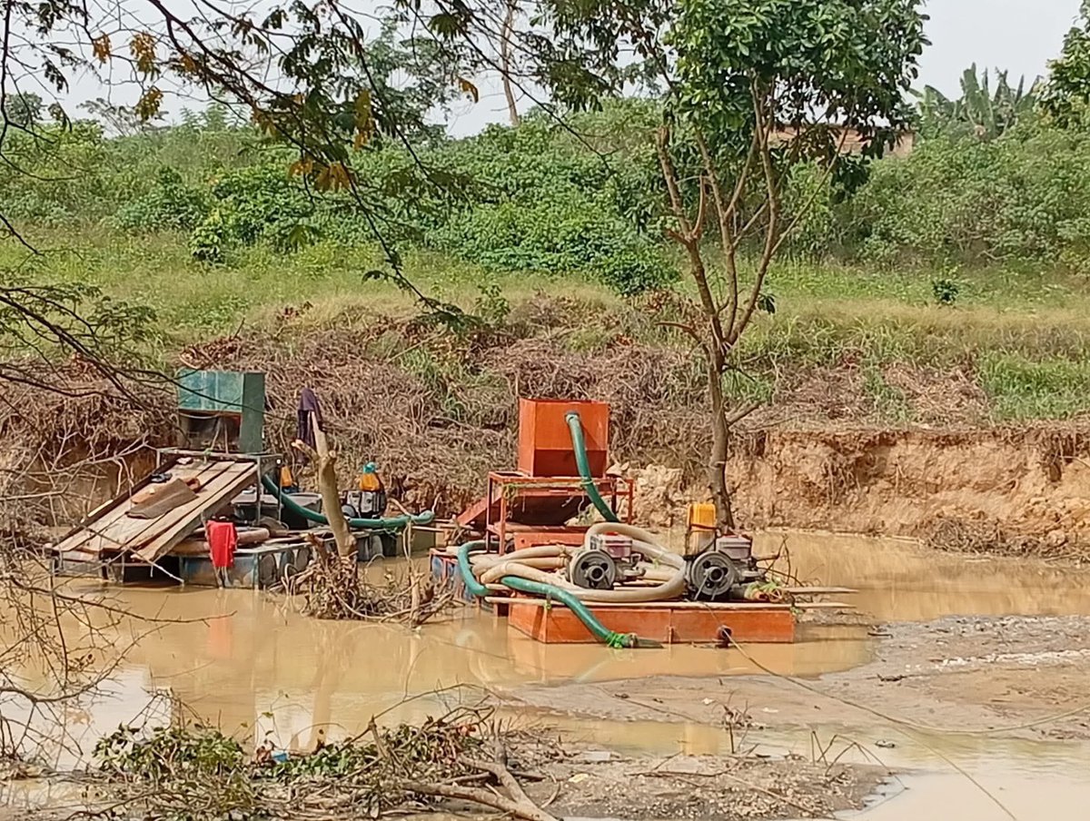 InsideOsogbo's tweet photo. ALARM OVER ILLEGAL GOLD MINING AT ABERENSISE AKINLADE ESTATE, ÒṢOGBO 

Residents of Aberensise Akinlade Estate, located about 6.6km from the Ọ̀sun River, along Iléṣà Garage, Òṣogbo, have raised serious concerns over the increasing activities of suspected illegal gold miners who have reportedly taken over large parts of the community.

According to residents, these activities are already having adverse effects on their environment, including land degradation, destruction of farmlands, threats to buildings, and growing fears of water contamination, especially given the estate’s proximity to the Ọ̀sun River. The situation has also heightened concerns around public safety, health risks, and long-term environmental damage.

As a leading digital media brand in Ọ̀sun State, we believe this is an issue that requires urgent attention. We hereby call on the @Osun_State_Gov, @AAdeleke_01, @PoliceNG, Ministry of Environment, Ministry of Solid Mineral, and environmental protection agencies to immediately investigate this development, engage with the affected community, and take decisive action to halt illegal mining activities before irreversible damage is done.

Illegal mining not only endangers local communities but also threatens our shared natural resources and future generations. The cries of Aberensise Akinlade Estate residents must not be ignored.

Community lives matter!

#InsideOsogbo