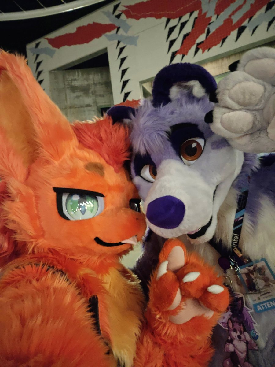 Duuligan's tweet photo. Ok ngl bringing this orange fluff out for the first time at the local #furtherconfusion2026 has been an absolute heckin' blast

Lots of firsts, learning, and finding out moments involved, but overall its been awesome meeting so many new people <3
Can't wait for the next one x3 https://t.co/vSUmpdDJWl