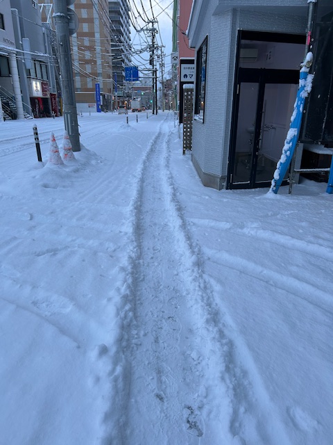 朝起きたら、白かった。
誰が付けてくれたのか、道が出来ていた。
足跡の無い道、感謝です。