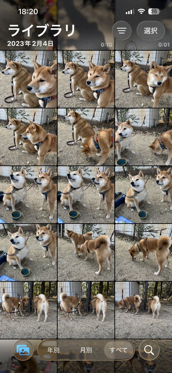 全部お姉ちゃんの真似したいしシンクロするこうたろう😂