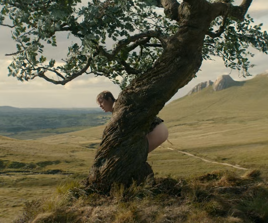 ThaCreatr tweet media