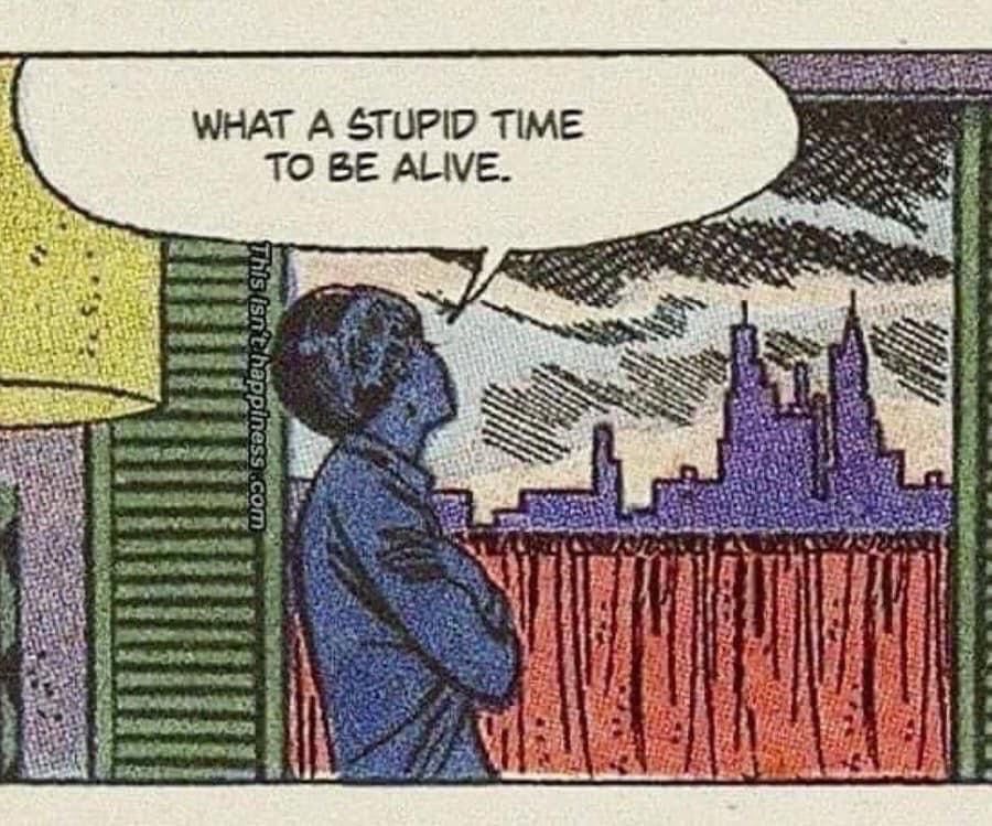 rocknrollscars's tweet image. 