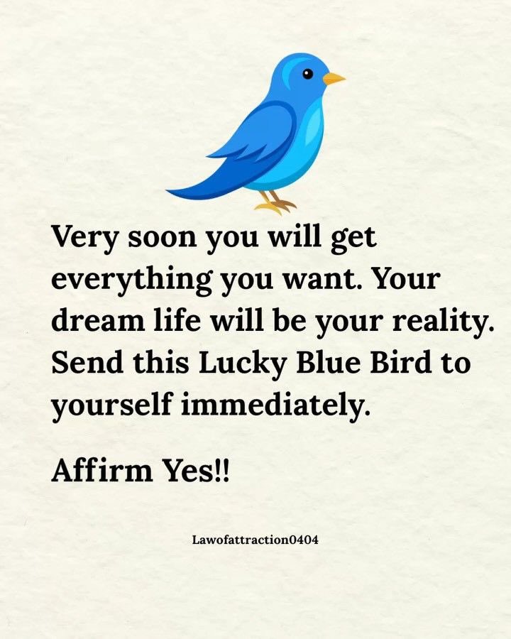 Law Of Attraction Coach tweet media