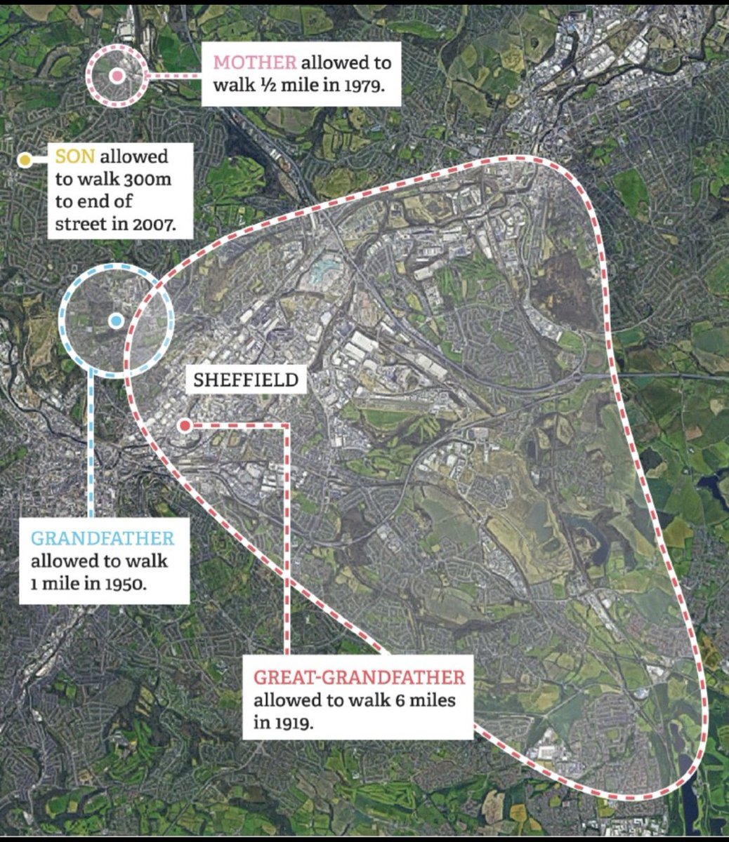 Sam Hamels tweet media