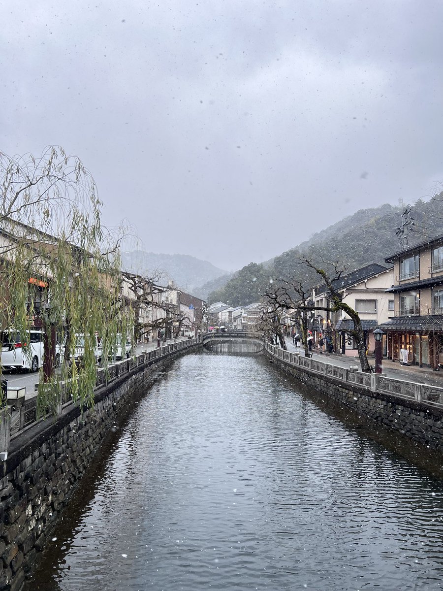 feli 🐔 ling tweet media