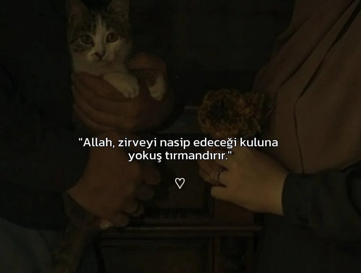 Macide Güler 🦋 (@bayangler2) on Twitter photo 