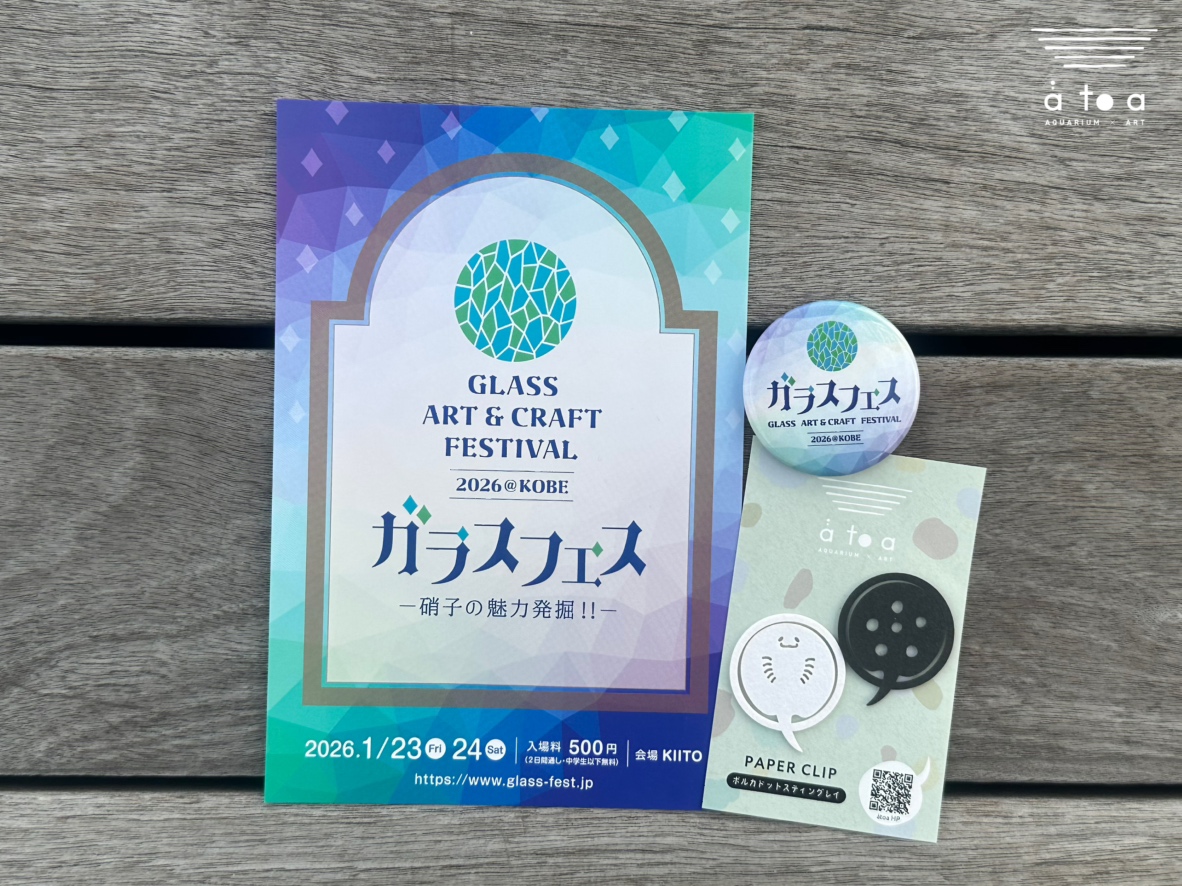 アトアから徒歩約9分🚶‍♀️ 神戸KIITOにて「ガラスフェス KOBE 2026