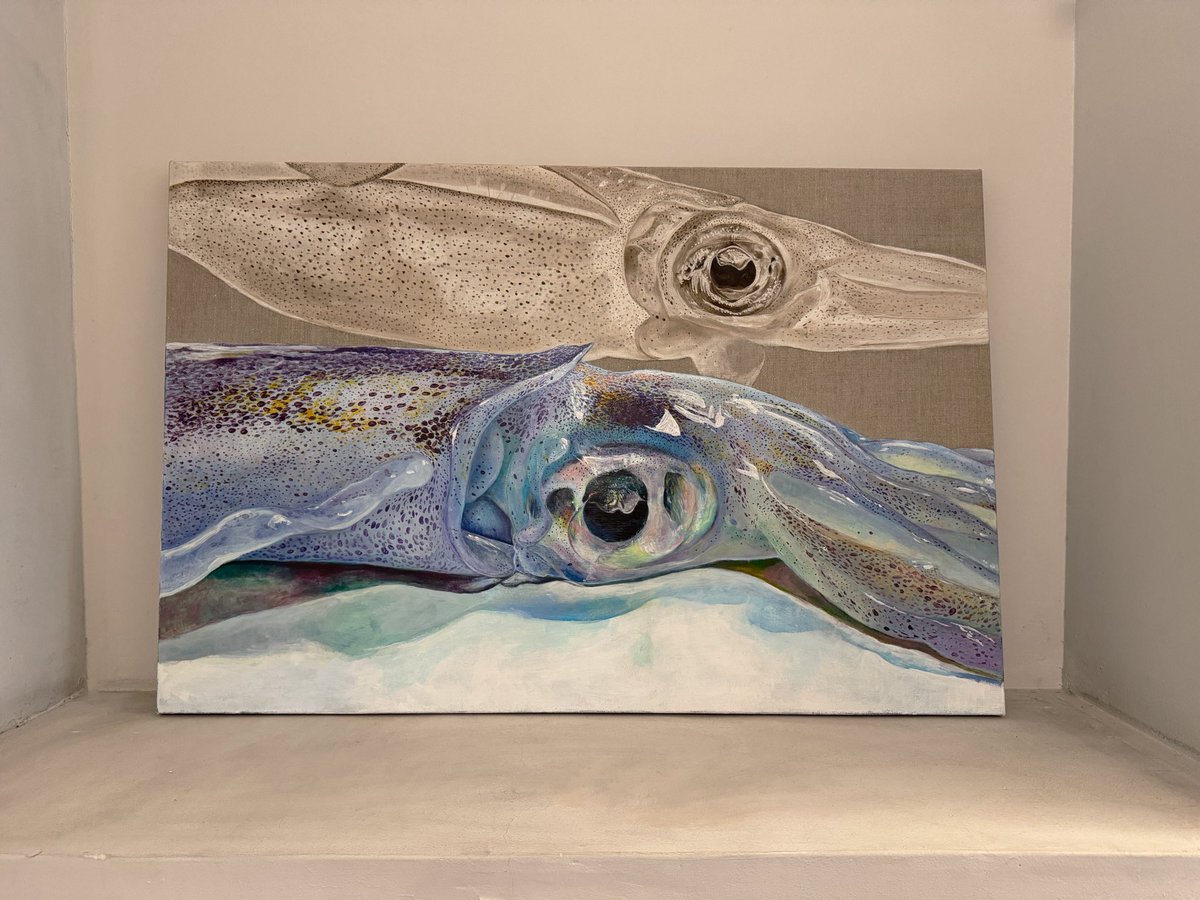 セイカ》(2025)M30 泳いでいるイカをイカ墨とイカ胡粉で、鮮魚になった