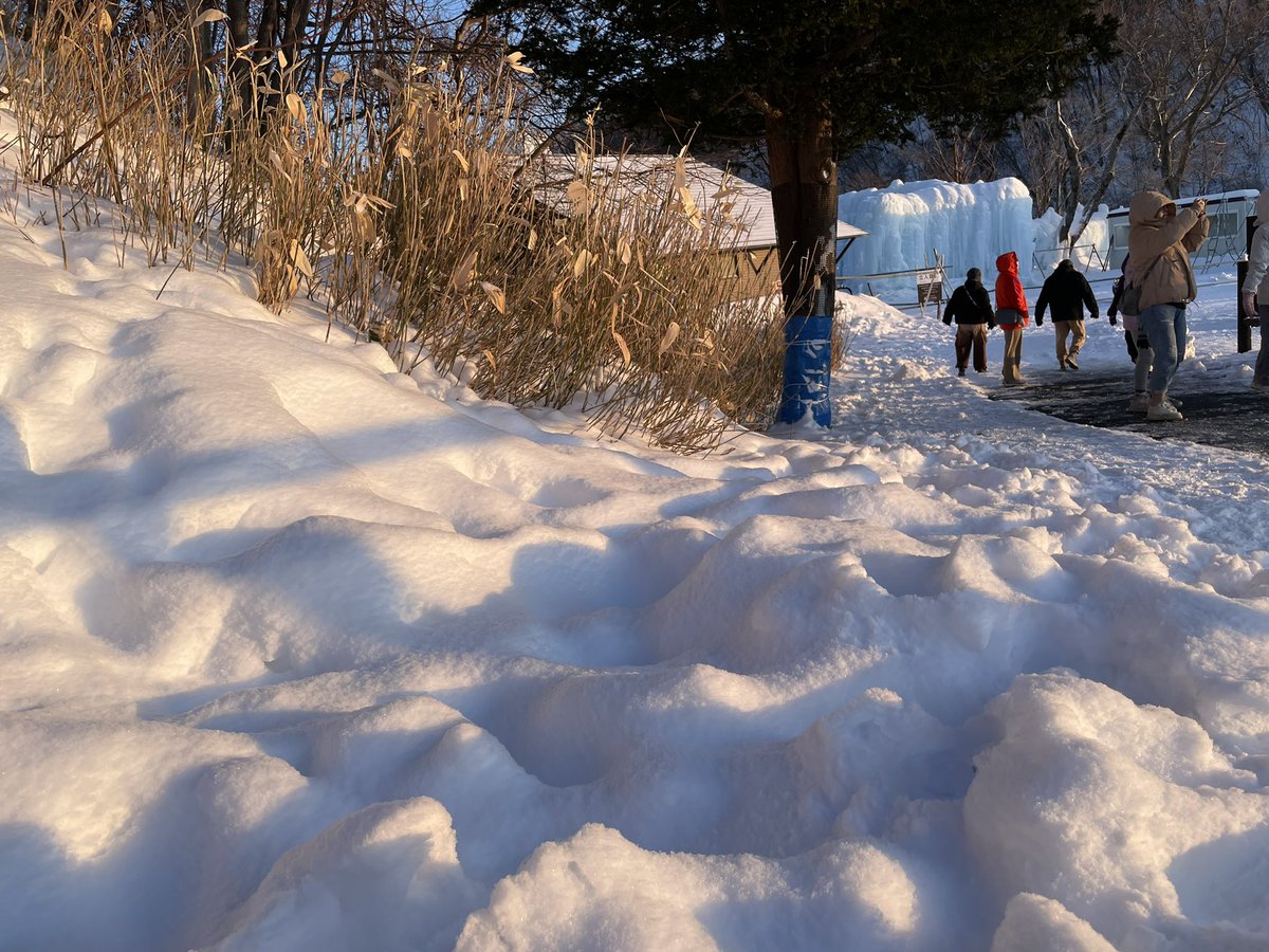 雪羽Yuki✨PonPon歌勢系 【玻璃海所屬】 tweet media