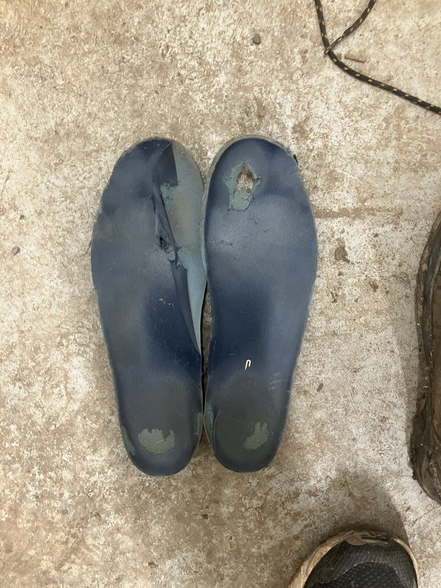 Essex_feet_Ben tweet media