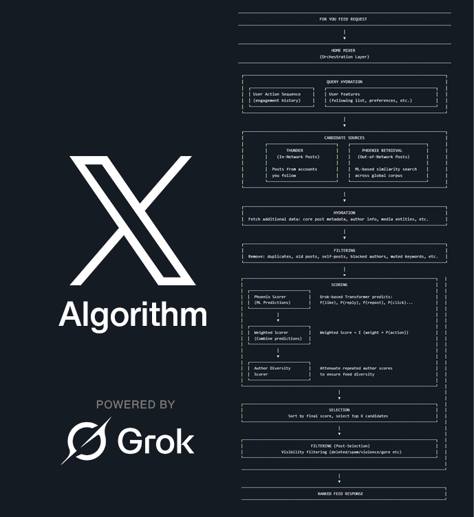 哈利菠菜 tweet media