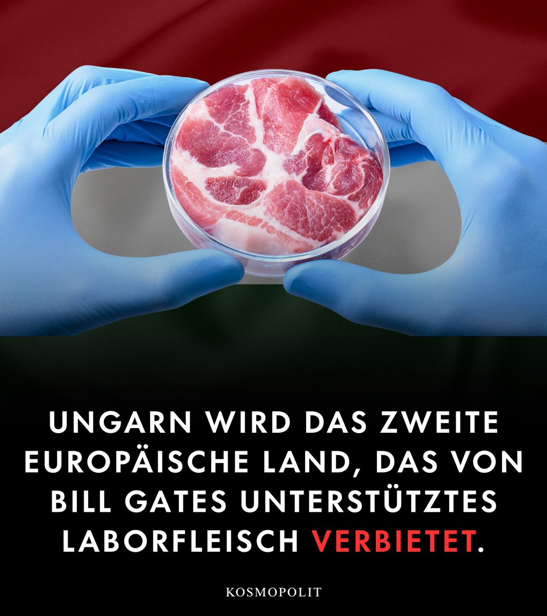 daniel_gugger's tweet image. 888 Das ungarische Parlament hat ein Gesetz verabschiedet, das die Produktion, den Vertrieb und den Verkauf von im Labor gezüchtetem Fleisch, auch als kultiviertes oder zellbasiertes Fleisch bezeichnet, verbietet.

 Die Gesetzesvorlage wurde mit großer Mehrheit angenommen und…