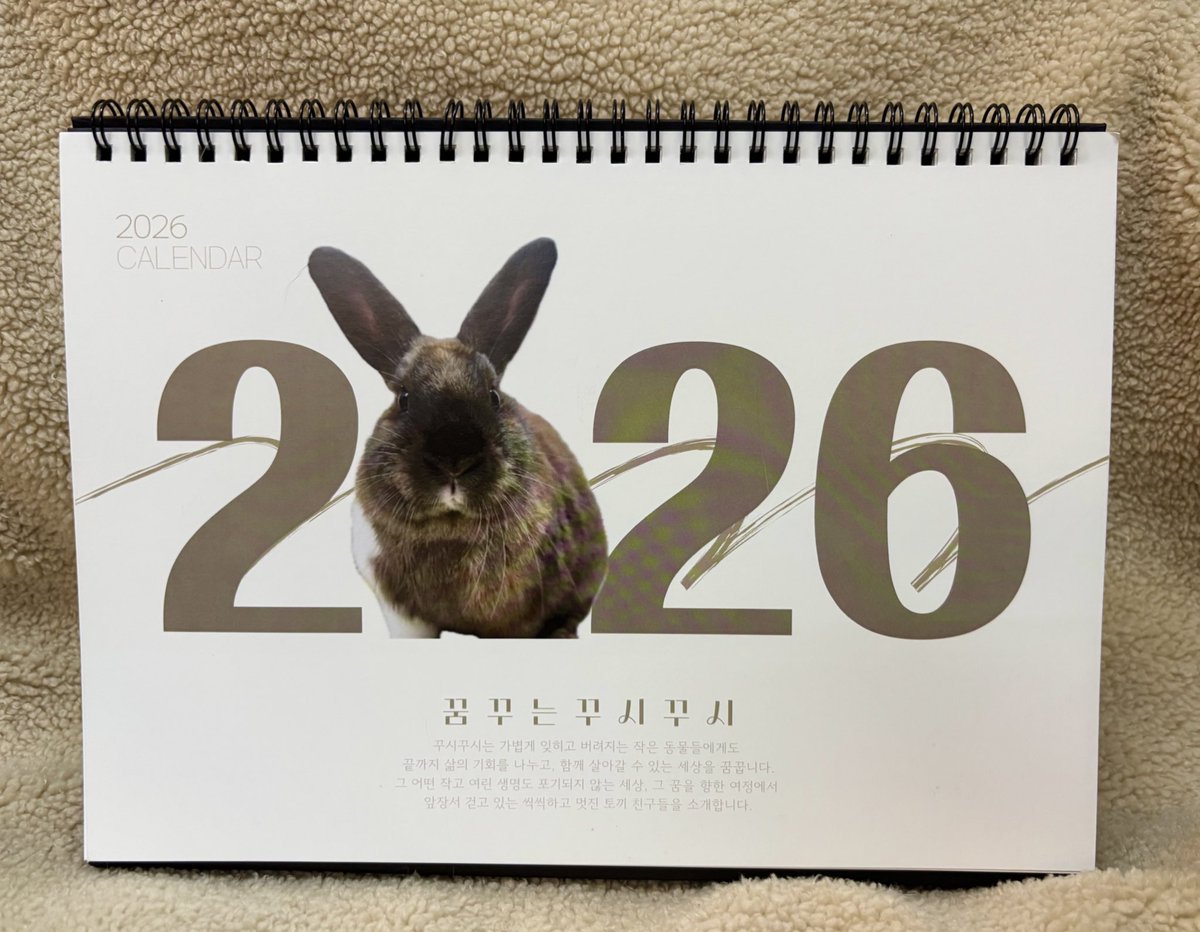 꾸시꾸시 tweet media