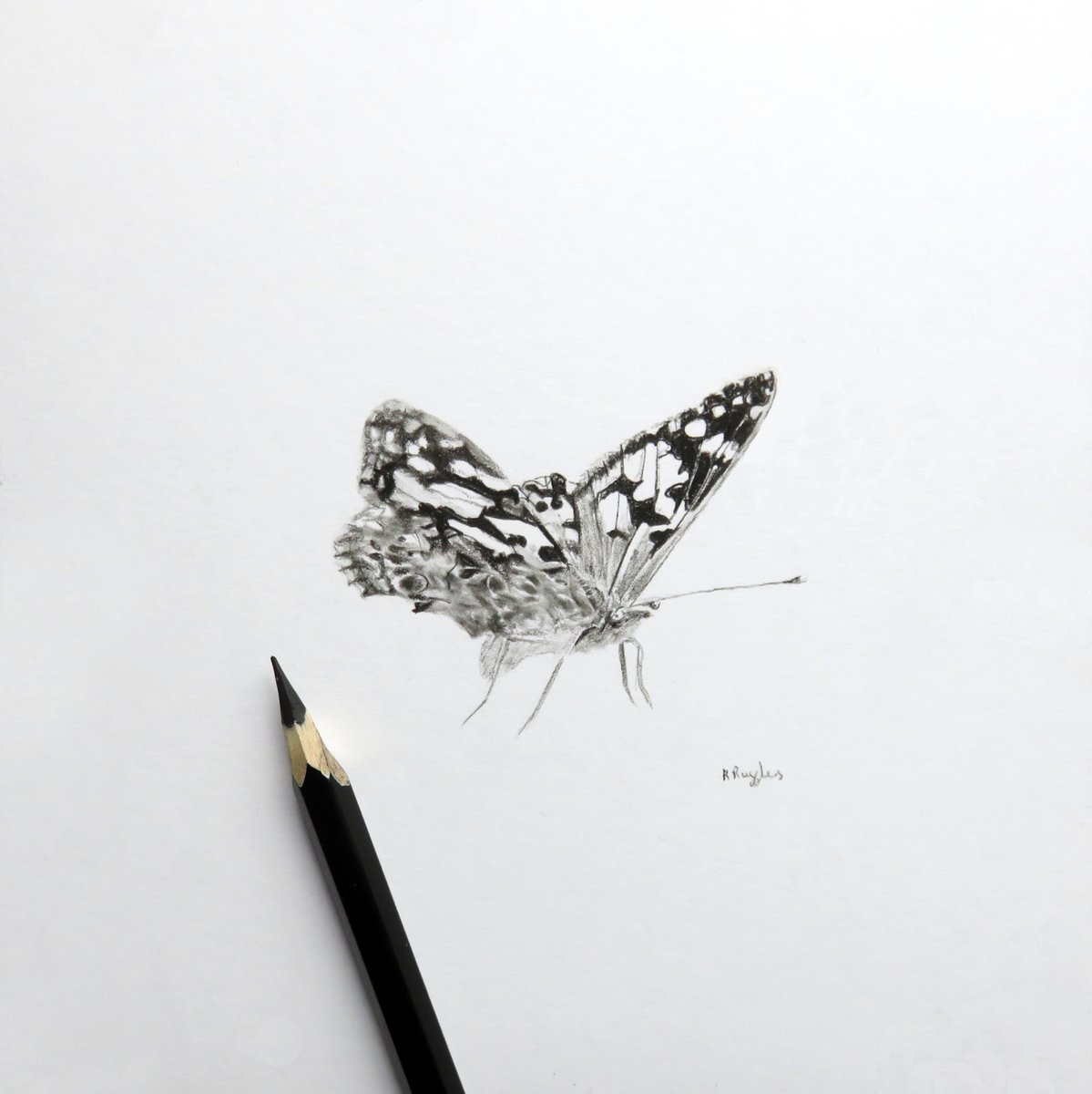 DrawingInDark's tweet image. Editing up product shots today, here's another butterfly drawing from the weekend 🙂
