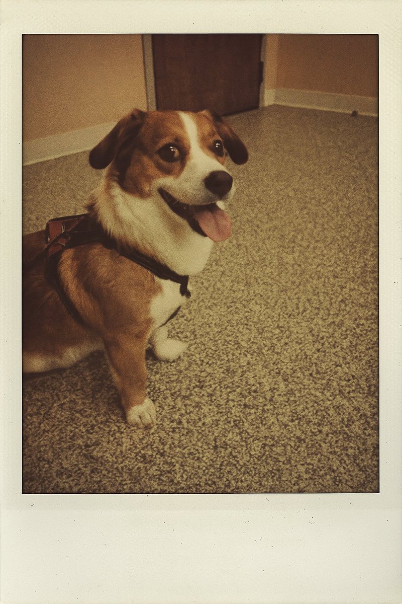 Carl ®️ (@citoyencarl) on Twitter photo 