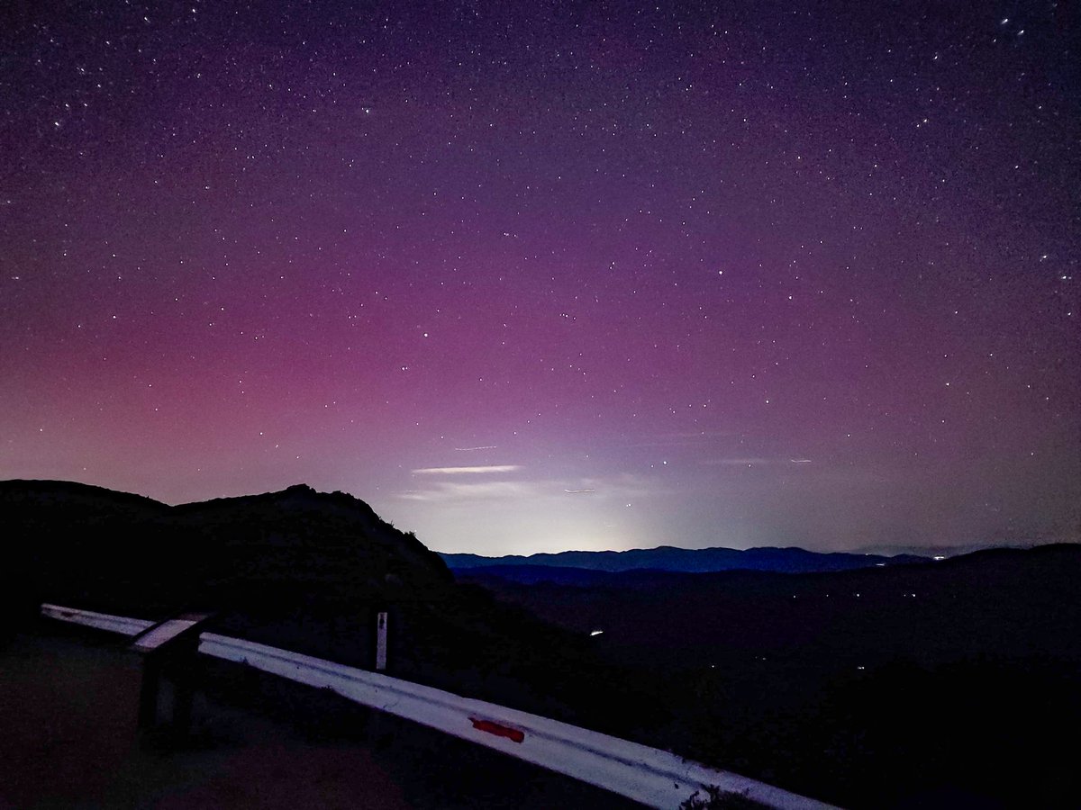 Based Taco 🌮 tweet media