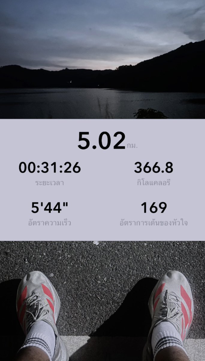 snqnɔuı̣ tweet media