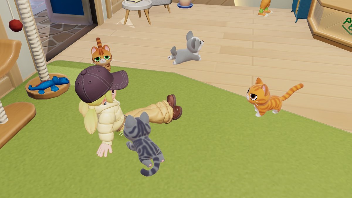 nirawn46's tweet image. 犬猫飼えるようになってるけど日替わりで種とか性格なんかが変わるからなかなか決められない