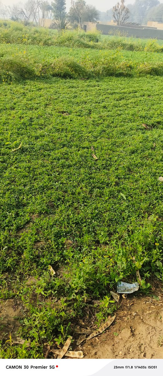 BarDaLuaB's tweet image. 