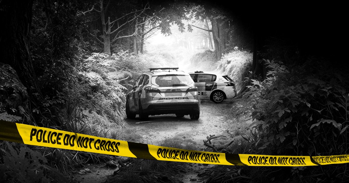 Mark Dawson tweet media