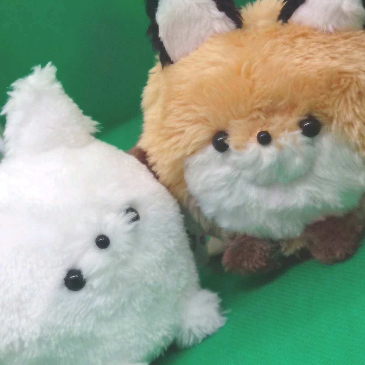 TLにぬいのドアップ画像をあげて人々を幸せにしよう計画