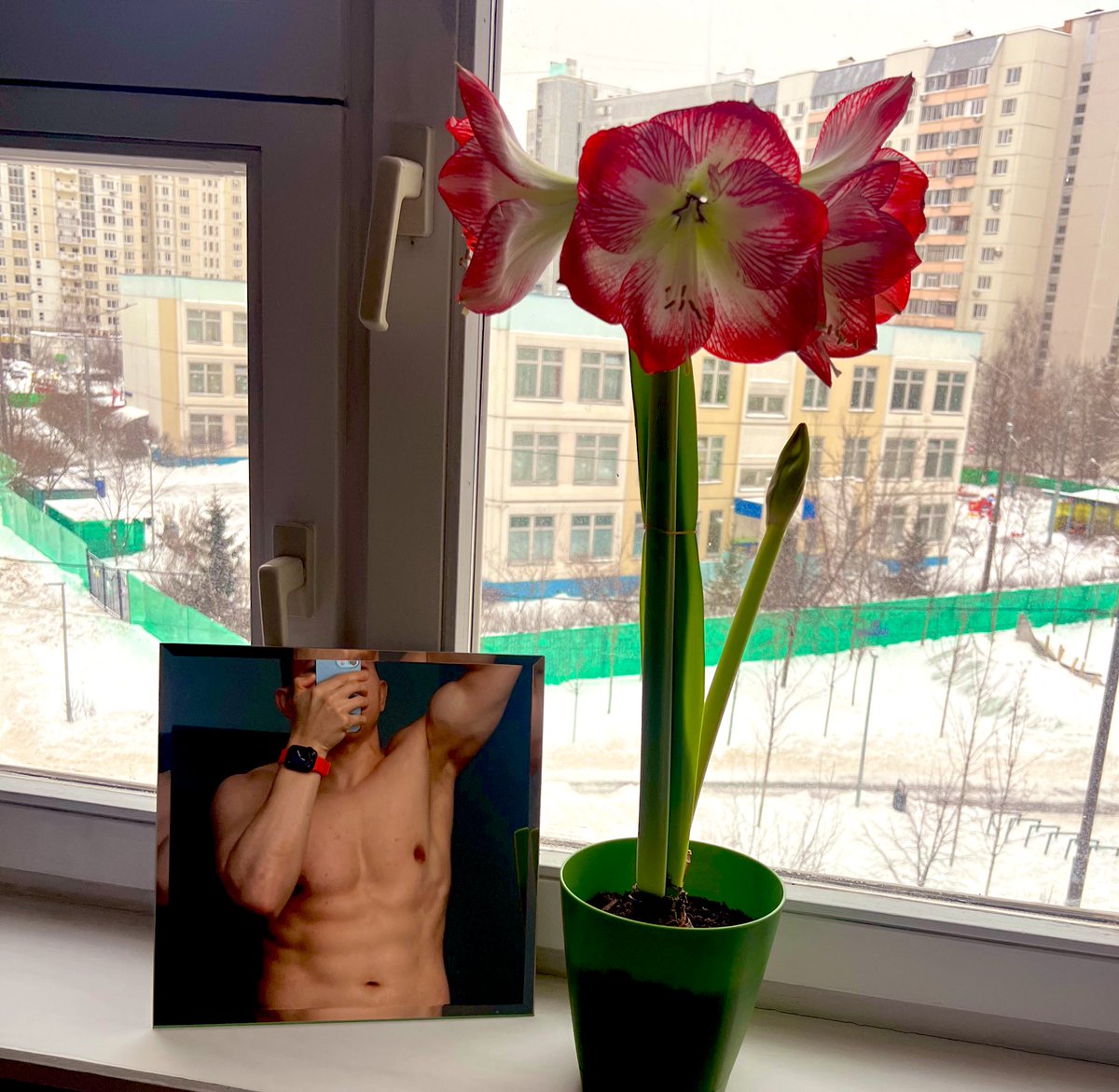 кубики maggi tweet media