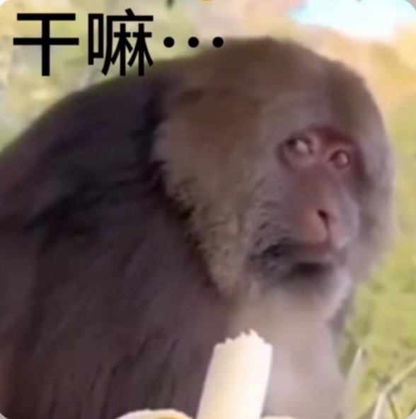 学术M tweet media