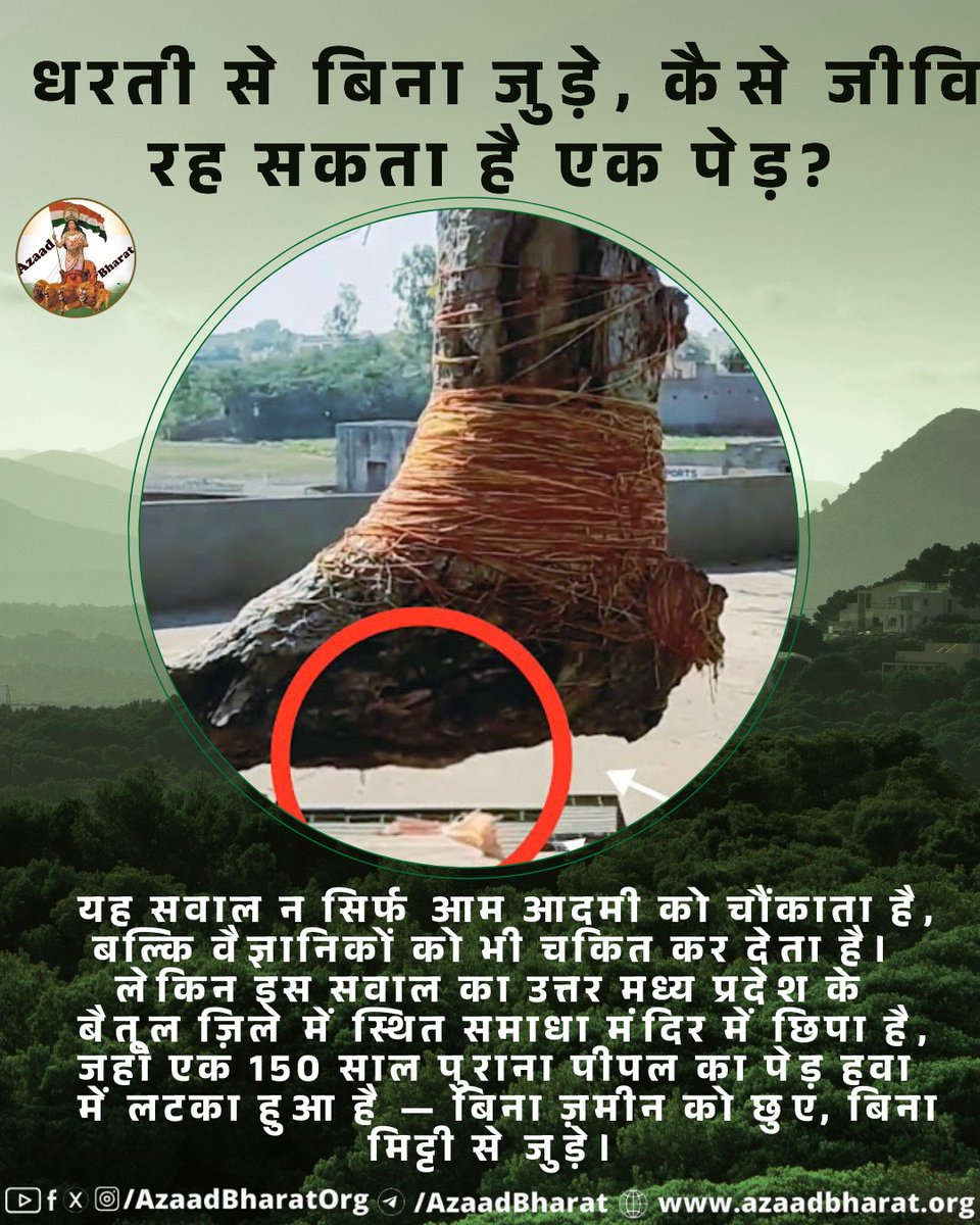 HitendraVora2's tweet photo. @AzaadBharatOrg @HariOm_o3 अद्दभुत 👌सनातन संस्कृति की जय हो🙏
यह सवाल न सिर्फ आम आदमी को चौंकाता है, बल्कि वैज्ञानिकों को भी चकित कर देता है कि एक 150 साल पुराना पीपल का पेड़ हवा में लटका हुआ है - बिना ज़मीन को छुएं, बिना मिट्टी से जुड़े।
#FloatingTree
#MysteryOfNature
#IncredibleIndia
#HiddenIndia https://t.co/8JUWSr4ph4
