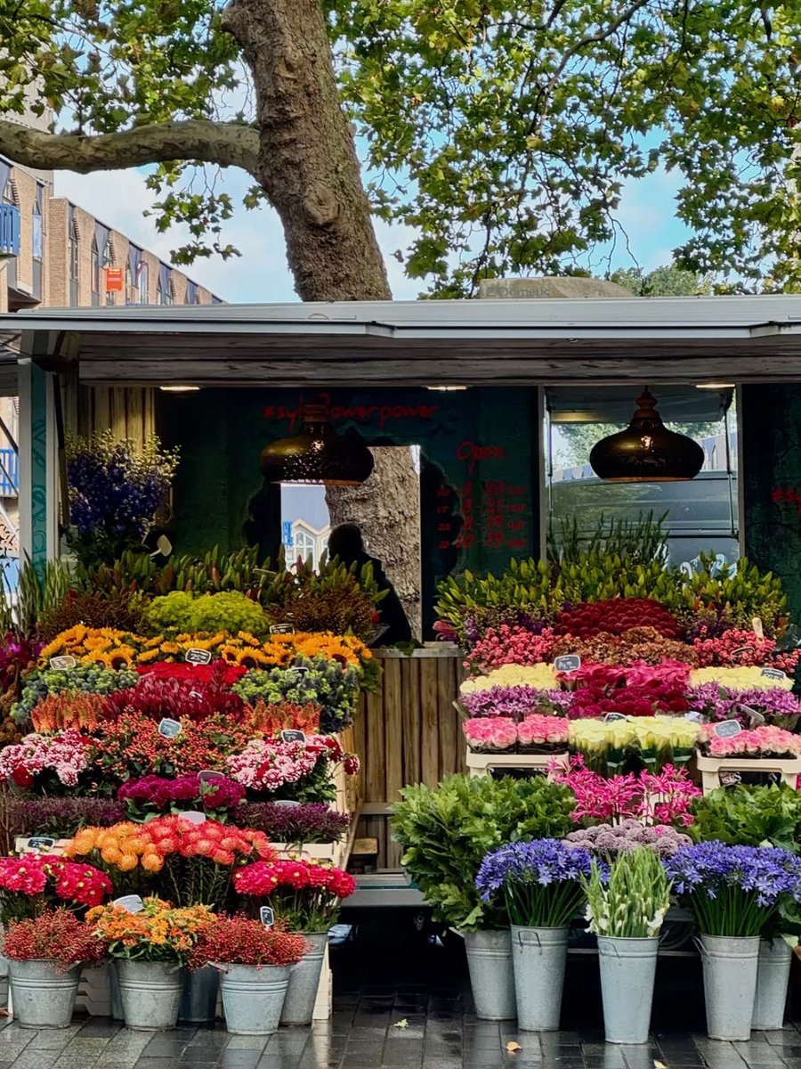 1leio's tweet image. 