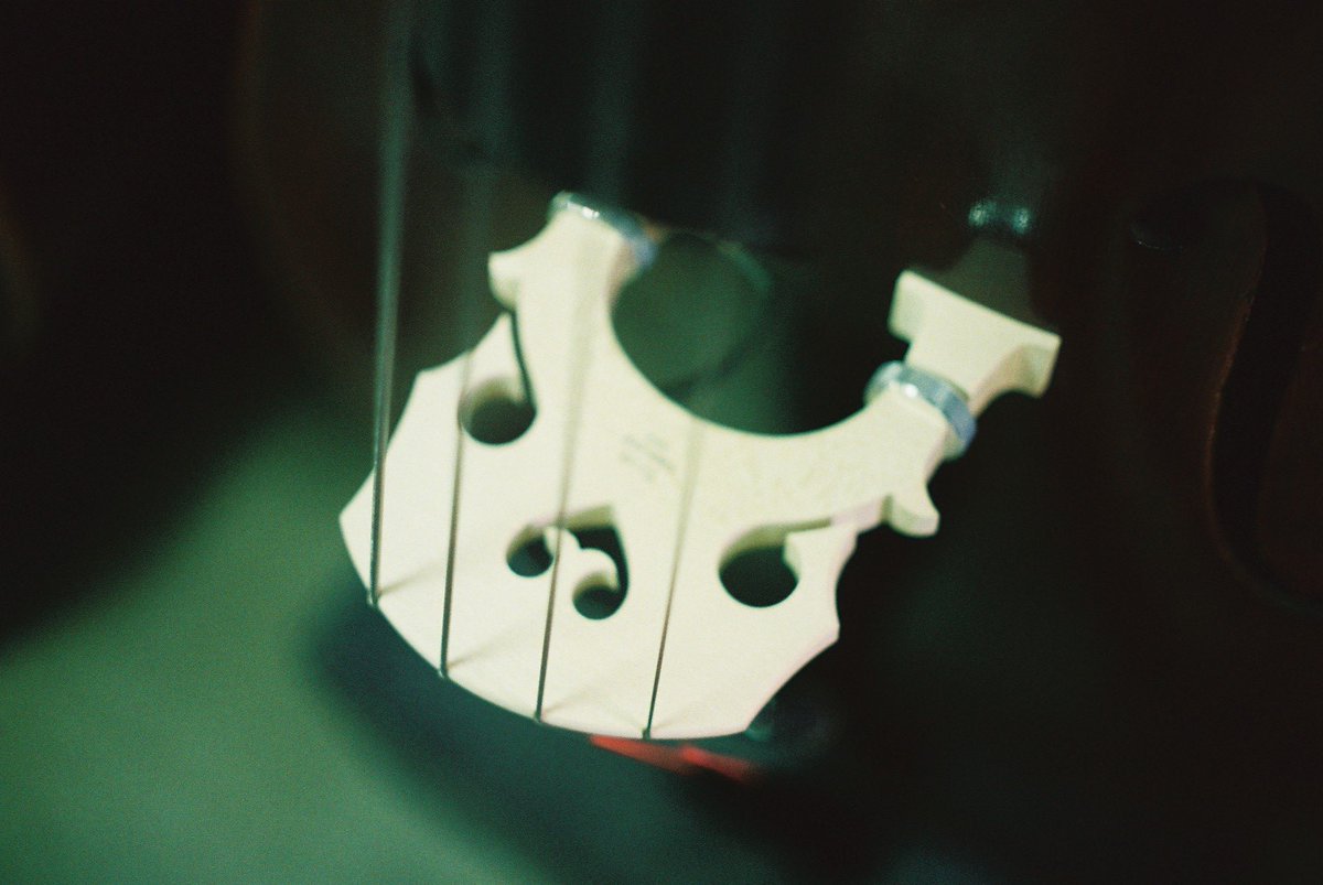 Rei (@guita_rei) / Posts / X