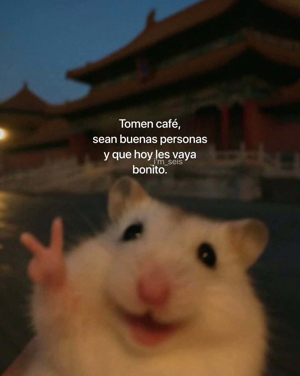 BANDIDOS (@bandidosfrasess) on Twitter photo 