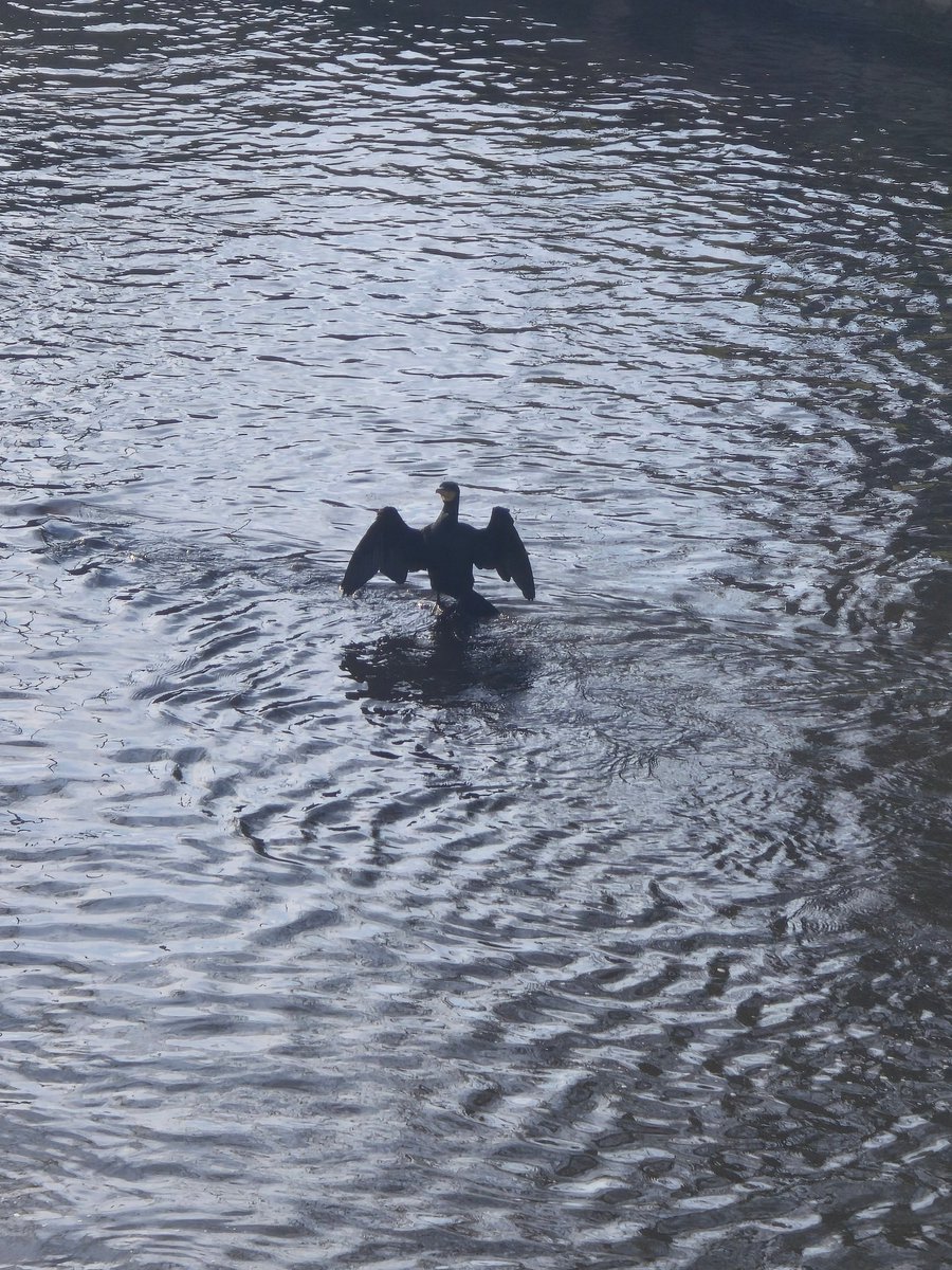 viens uzņem saules enerģiju