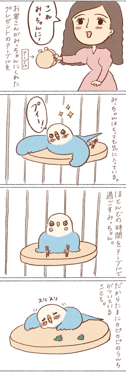 みっちゃんが大好きなものに出会えて本当に嬉しい☺️

#インコ 