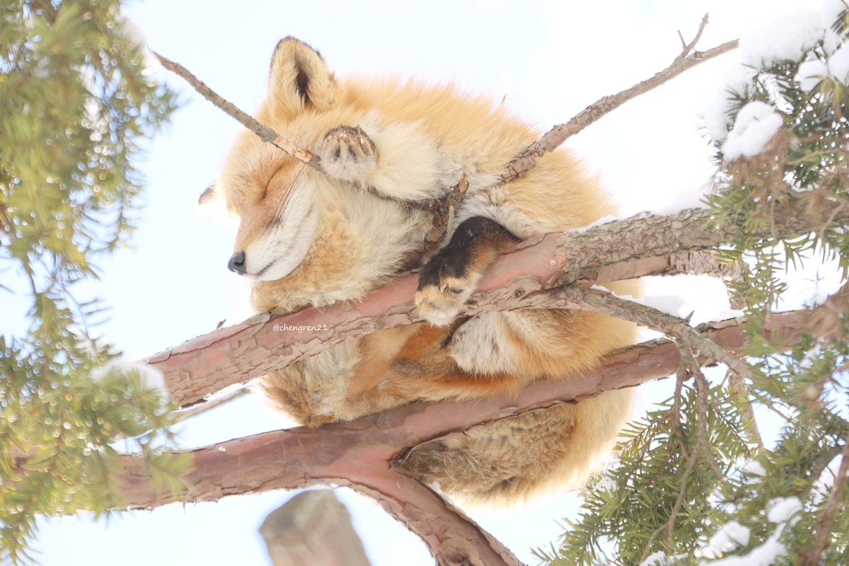 お月様の裏側 #北きつね牧場