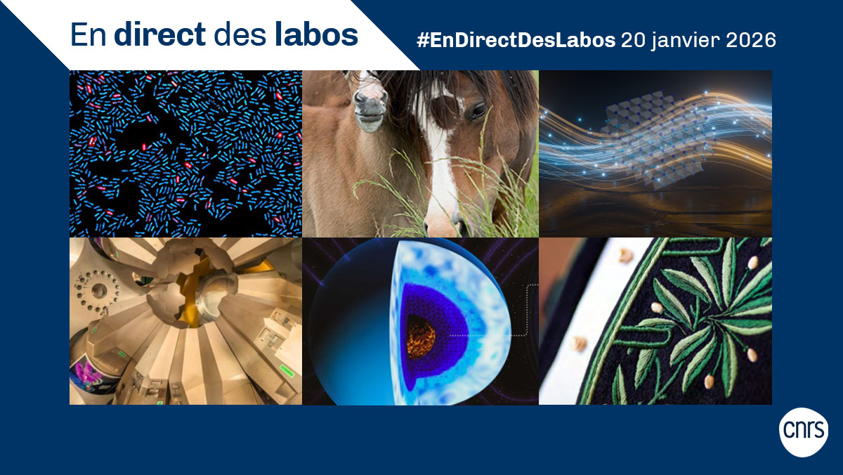 CNRS 🌍 tweet media