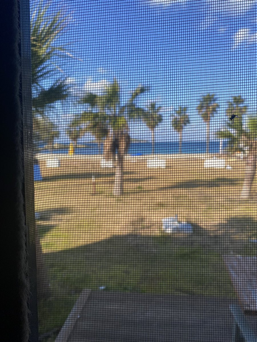 msdishy's tweet image. İzmir foça