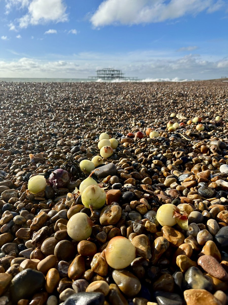 Andrea Heribanova tweet media