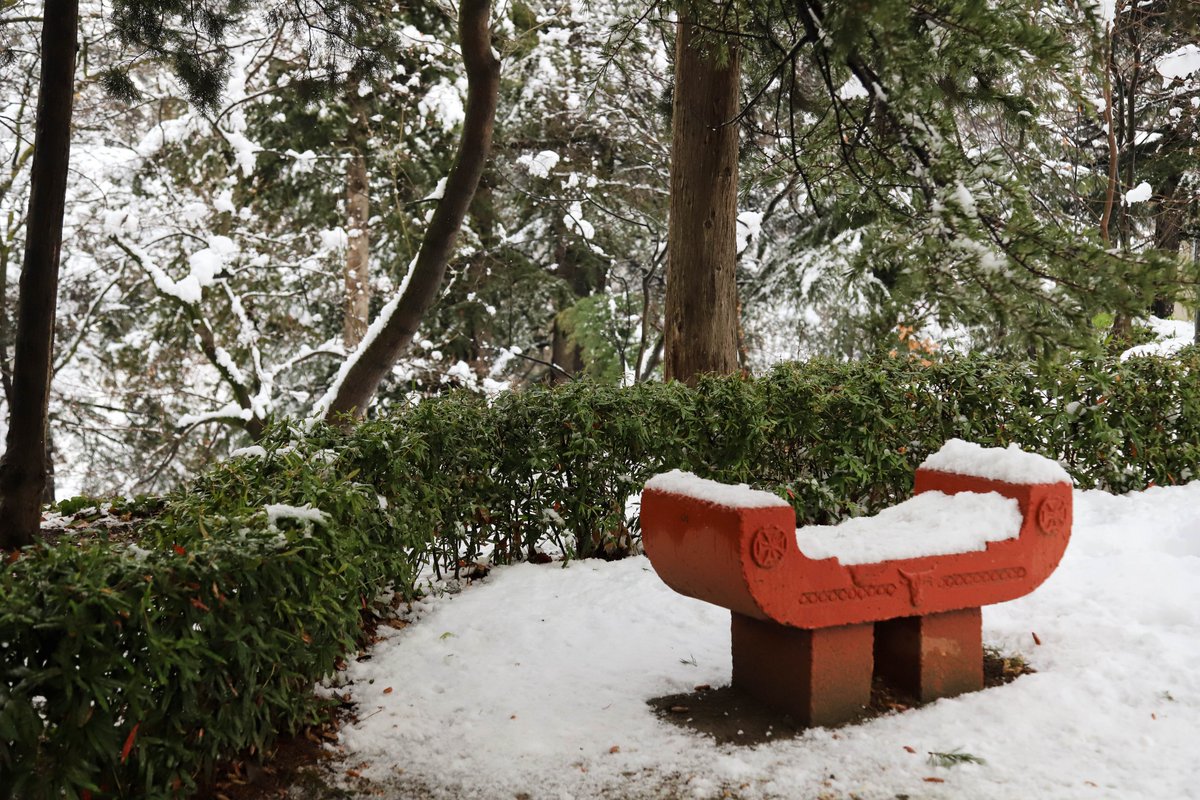 National Botanical Garden of Georgia tweet media