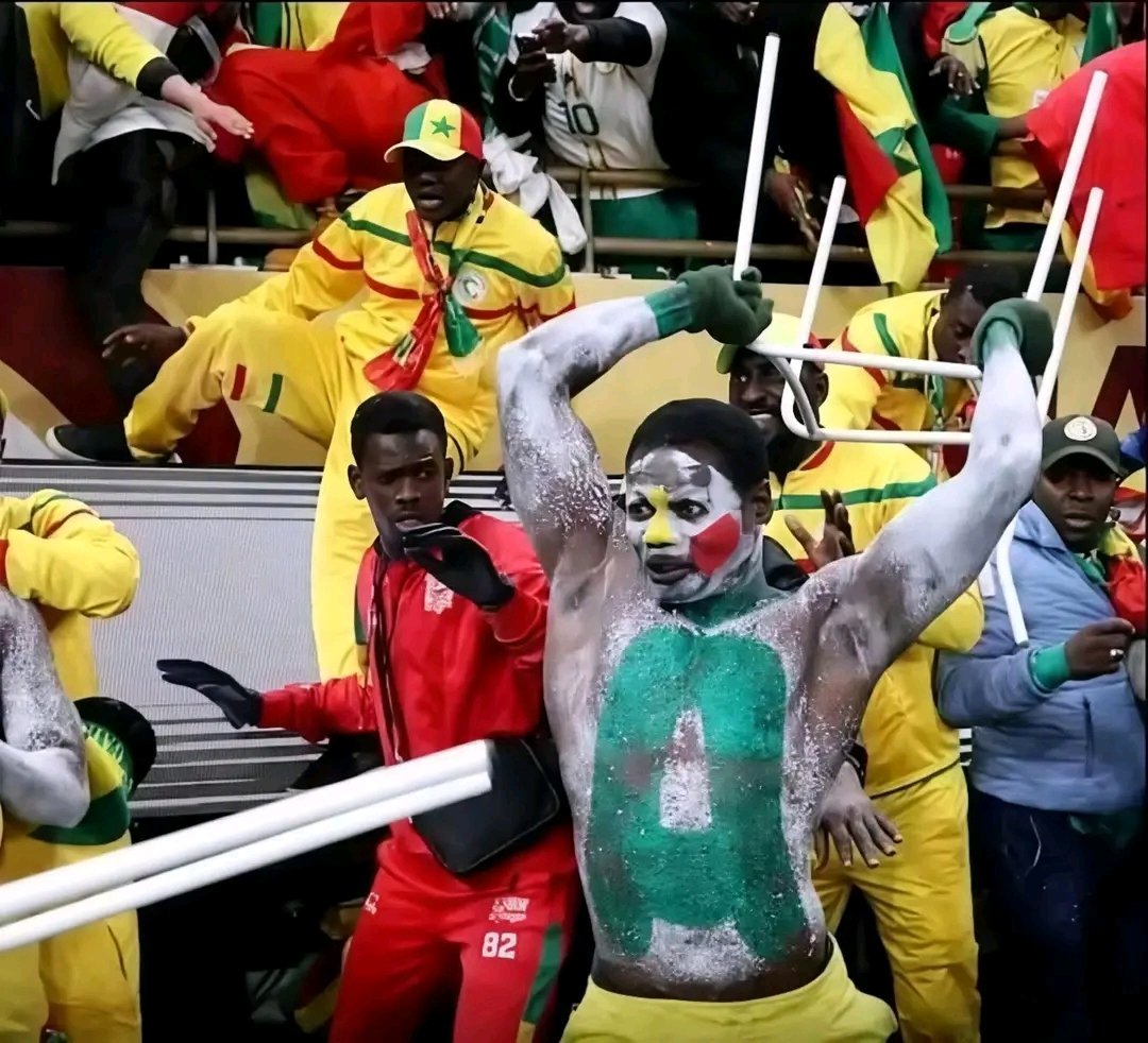 Abdelmajid2024's tweet image. Ik hoop dat meer van deze honden naar je toe komen zul je zien wat criminaliteit echt is