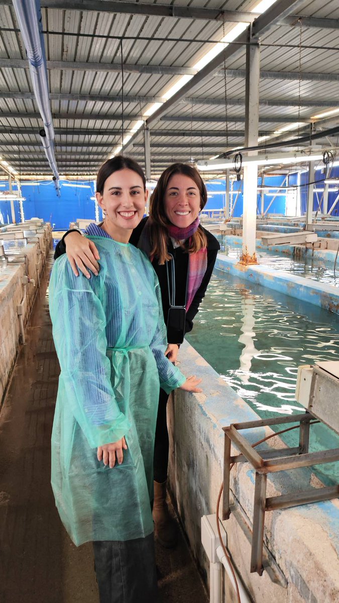FeedActiv's tweet photo. 🎓 FeedActiv Secondment

Alexandra Mari (NTUA) completed her secondment at Panittica Italia, gaining hands-on insight into industrial aquaculture and industry workflows.

#FeedActiv #Aquaculture #Secondment https://t.co/LS2kQwx64n