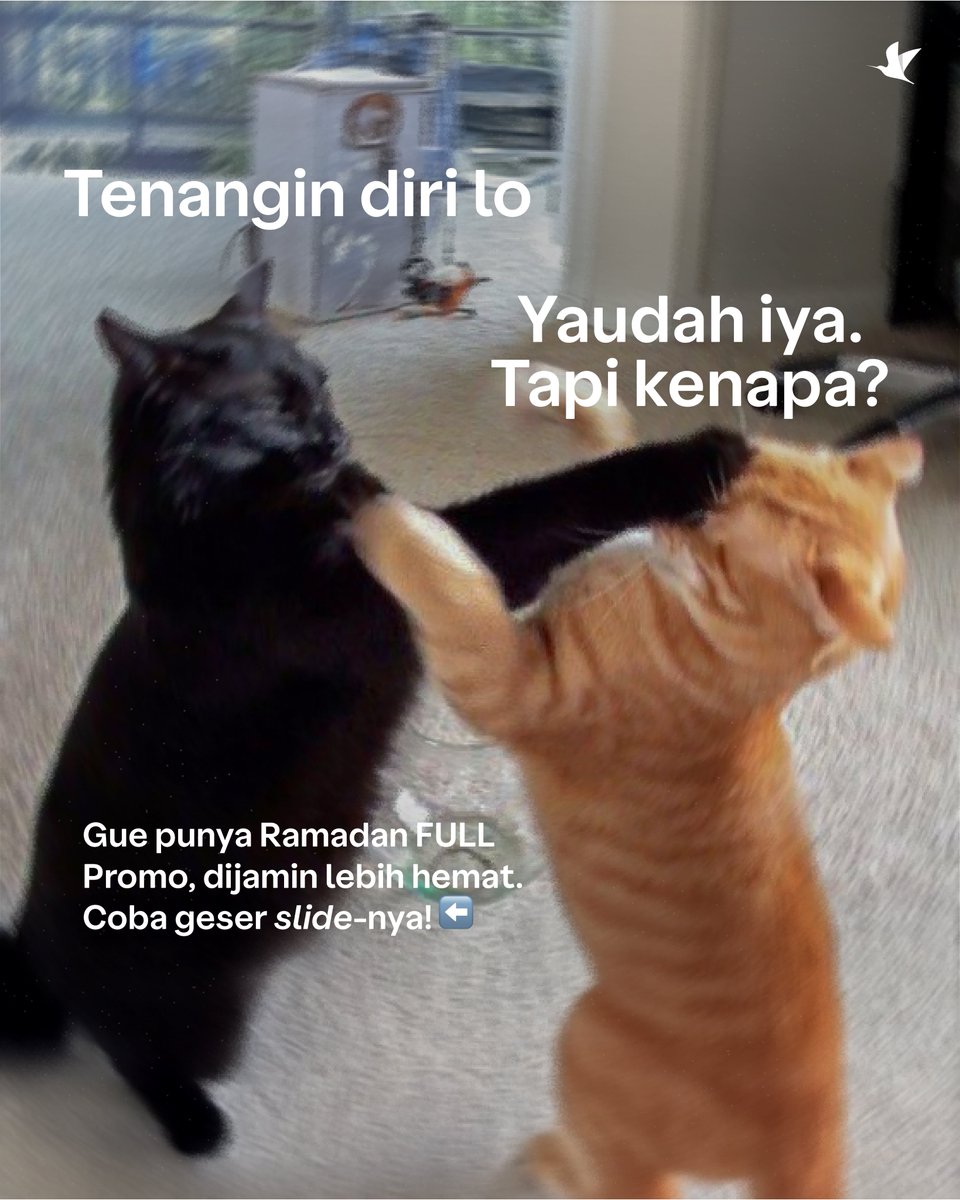 Traveloka Indonesia tweet media