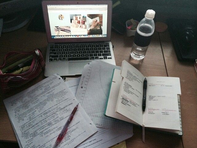 yookSNA_'s tweet image. — #studytwt #studytwtbr 

·    16, 2° E.M (1° ano sendo treineira)
·    atualmente cursando MEDIOTEC, Técnico 
     em Jogos Digitais
·    foco: ENEM e SSA
·    plano A — biomedicina. plano B — farmácia 
·    ♡ :  filmes, música, animes...

♡/↺ = moots