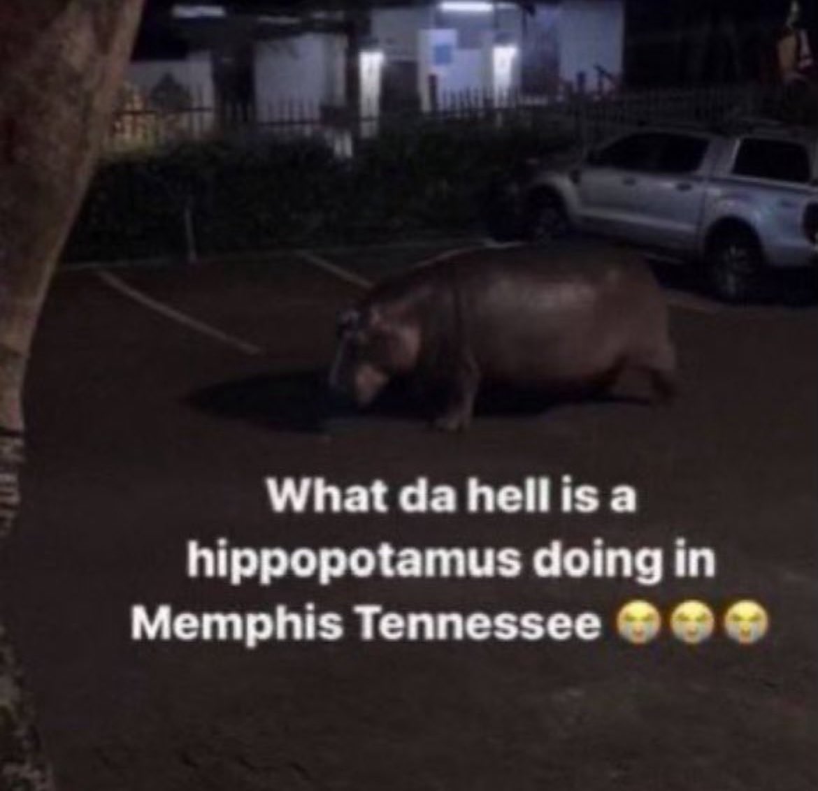 “The White Ninja” Mistah Jackson IV (@thewhiteninja8) on Twitter photo 