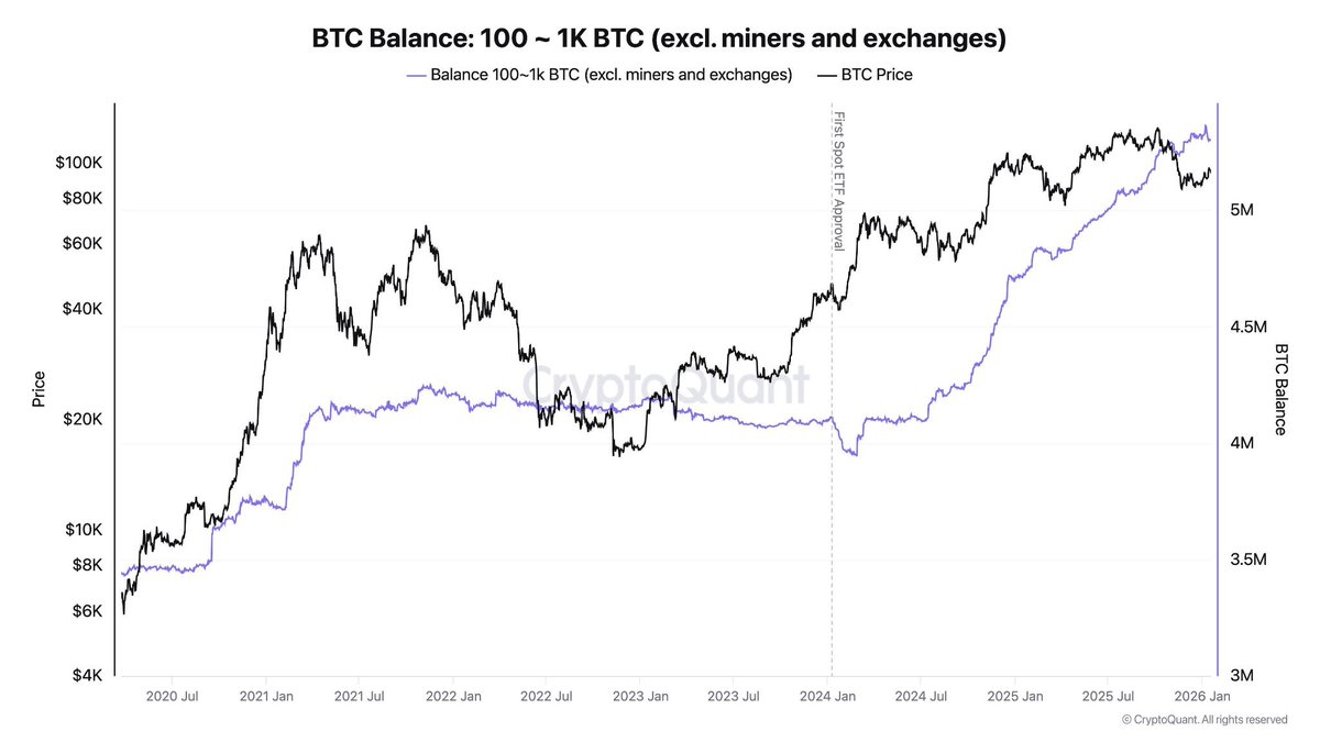Bitcoin accumulation wallets holding between 100 BTC and 1K BTC have seen a  33% increase over the last 24 months.