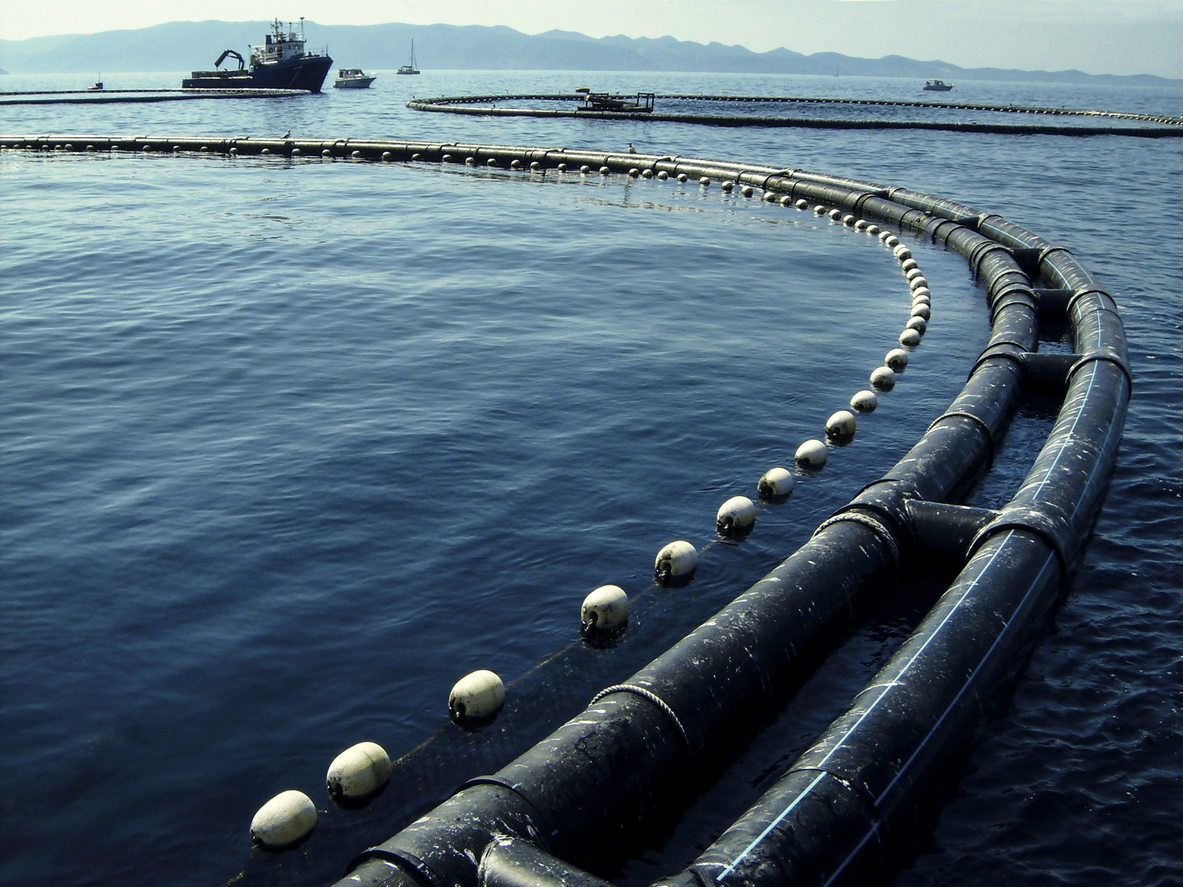 Genome Atlantic tweet media