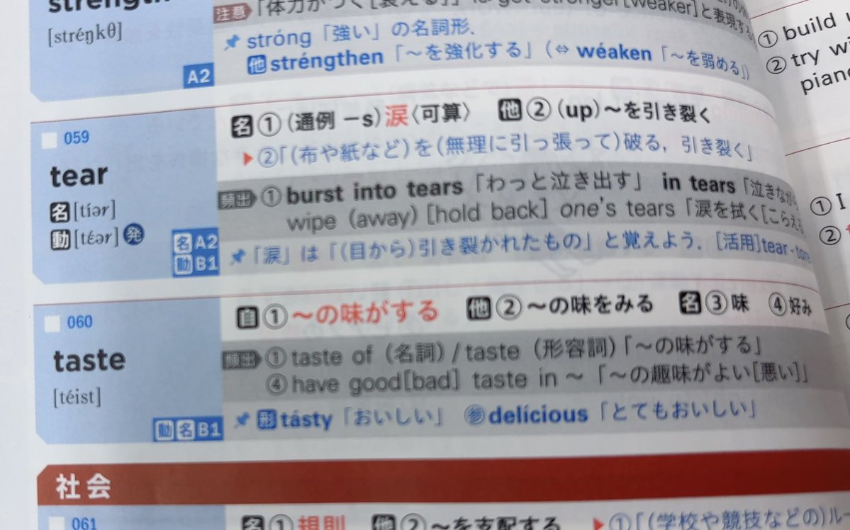 初めての恋が終わりそうな単語帳