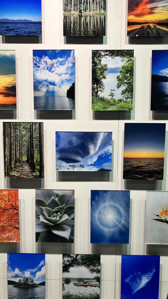 Watacker401's tweet image. nitroのxbsさんの自然をテーマにした写真展