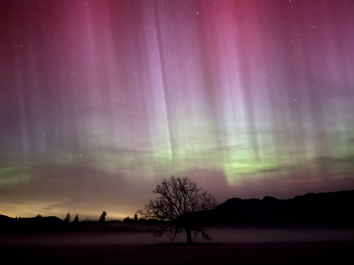 BenJurkovichWX's tweet image. Tonight has been top tier for the #northernlights in Washington state and they are still going! All of these images have been taken near Darrington, WA. We have had overhead, dancing pillars, and even some brief snaking ribbons. Now strobing. #auroresboreales #wawx #weather