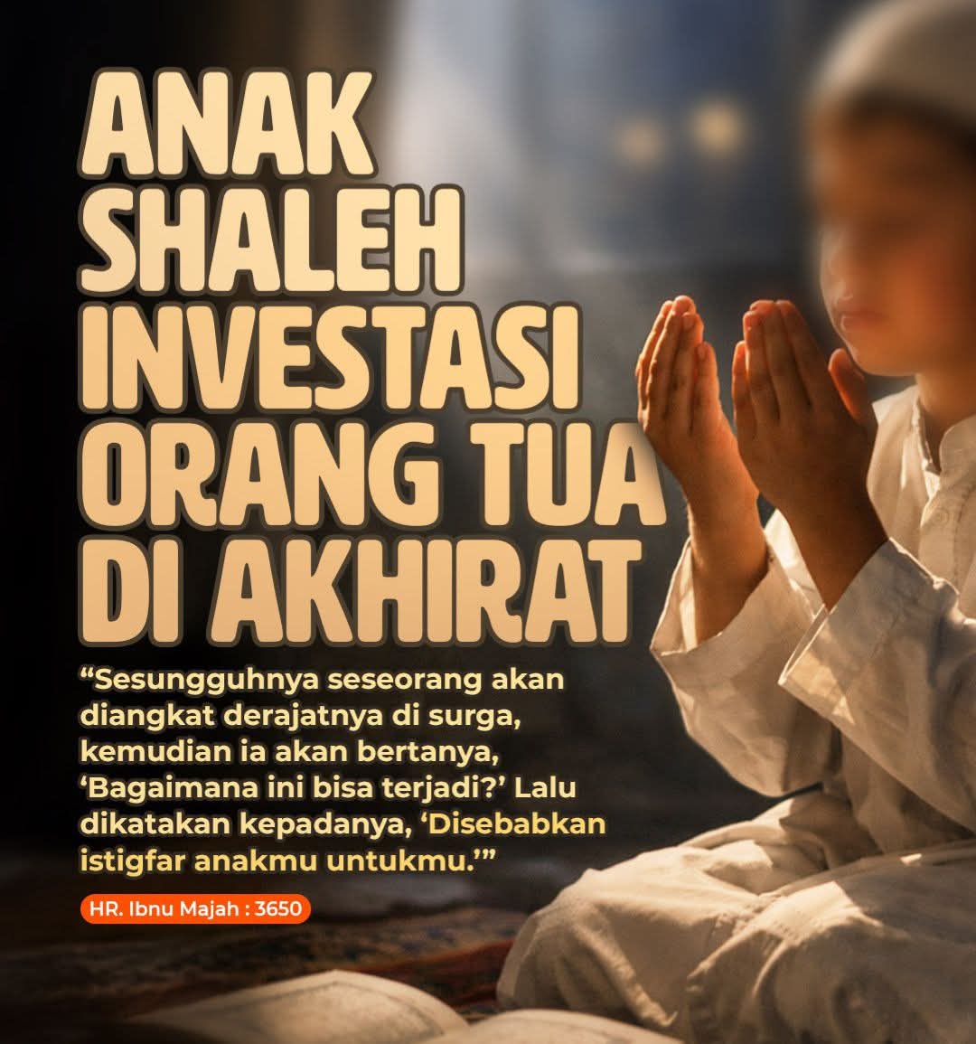 EdSoekoco's tweet image. 